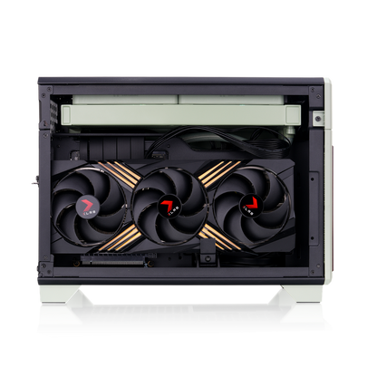 TR100 WS Matcha Green